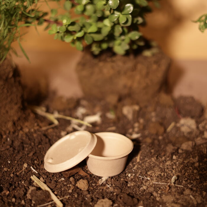 Pulp Moulded Dipsters