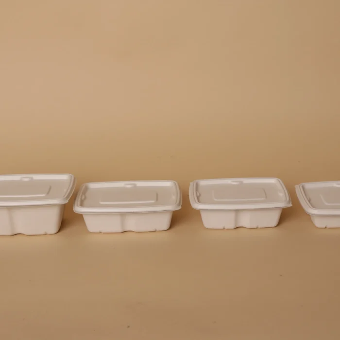 Anti Leak Rectangular Containers With Lids