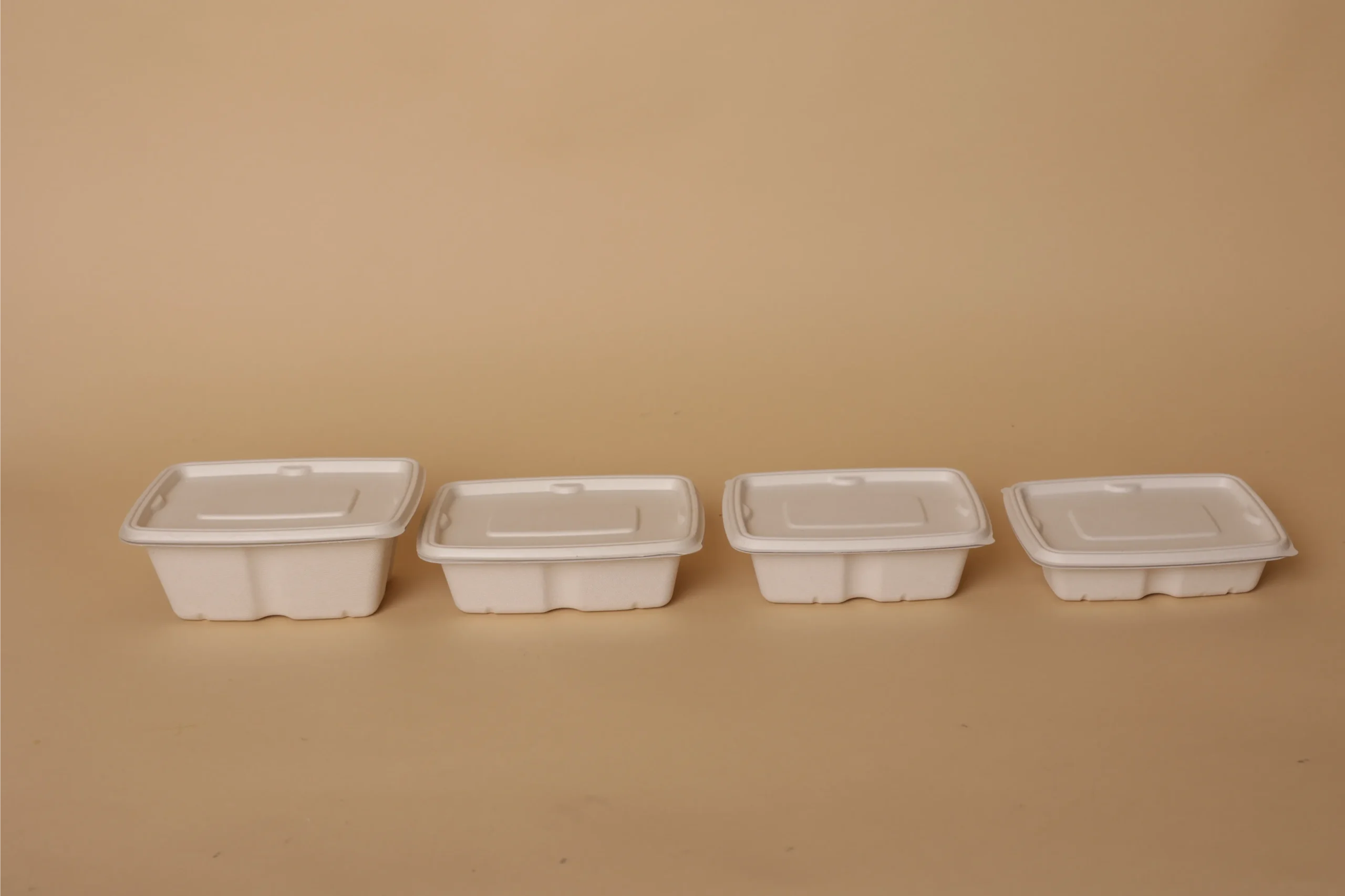 Anti Leak Rectangular Containers With Lids